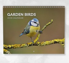 Garden Birds Wall Calendar 2026, Beautiful Songbird Art And Bird Lover Gift