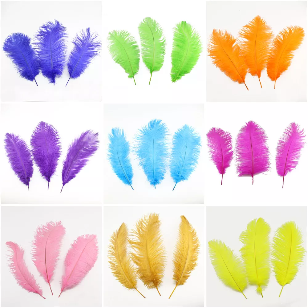 Craft best sale ostrich feathers