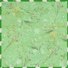 Bild 13 von 24