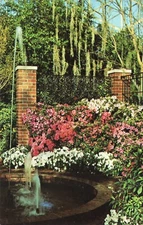 AZALEA DISPLAY, MITCHELL PARK HORTICULTURAL CONSERVATORY, MILWAUKEE, WI - PC6405