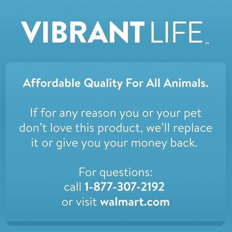 50 lb Pet Food Storage Container W/ Locking Lid & Wheels Bug Moisture Resistant