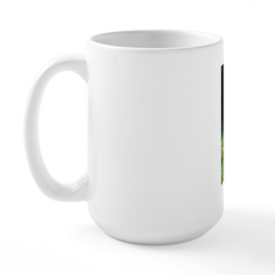 12 oz clear plastic cup convermex PET Plastic Cups, 92 mm Rim Diameter, 12 oz, Clear, 1,000/Carton