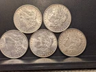 Lot of 5 Morgan Silver Dollars 1883-1900 XF-AU 260421