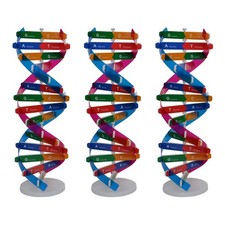  3 Pezzi Fai da Te DNA Doppia Elica Modello Scienza Biologica Experiment Tool