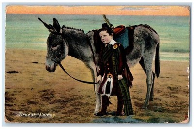 1909 Tired of Waiting Donkey Chums Posted Raphlette Tuck Art Postcard
