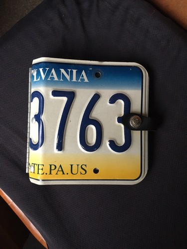 BNWOT CD/DVD Case Genuine Car Number Plate & Cert Of Authenticity Pennsylvania - 第 2/4 張圖片