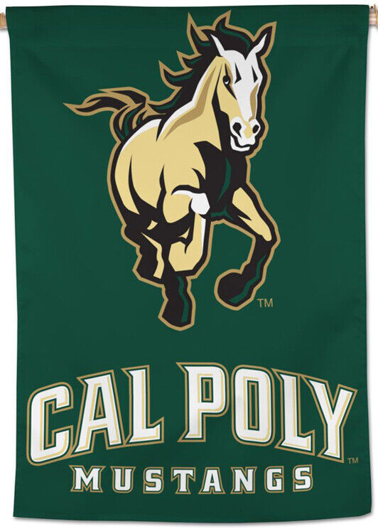 Mustangs In the Pros - Cal Poly