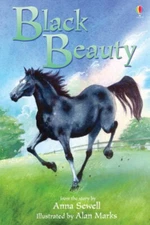Black Beauty Hardcover Mary Sebag-montefiore