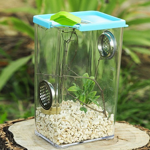 Reptile Breeding Box Small Pet CLEAR Acrylic Cage Insect Jumping Spider Feeding