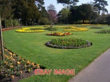 PHOTO  SPRING FLOWERS - BURY ST EDMUNDS BEAUTIFUL SPRING DISPLAY IN THE ABBEY GA