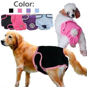 doggie pants for heat