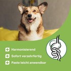 Bild 2 von 7