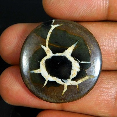 34,35Cts. Natürlicher wunderschöner schwarzer septarischer runder Cabochon Re...