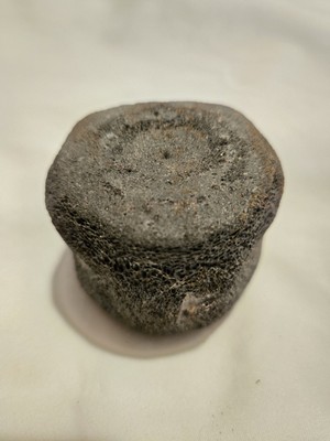 Unidentified Fossilized Vertebrae perfect for Fossil Bone Taxidermy Art