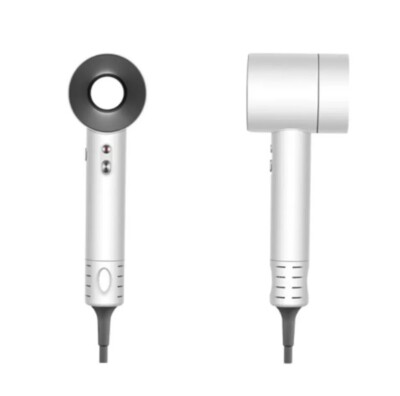 Professional Hair Dryer - Leafless with Smoothing Attachment | eBay