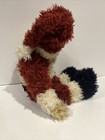 Foto 4 di 10