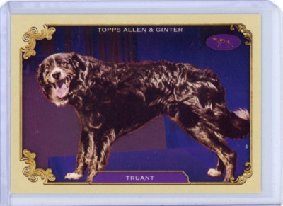 2024 Allen & Ginter Stars of the Show DOG Westminister - TRUANT - #SOS-4