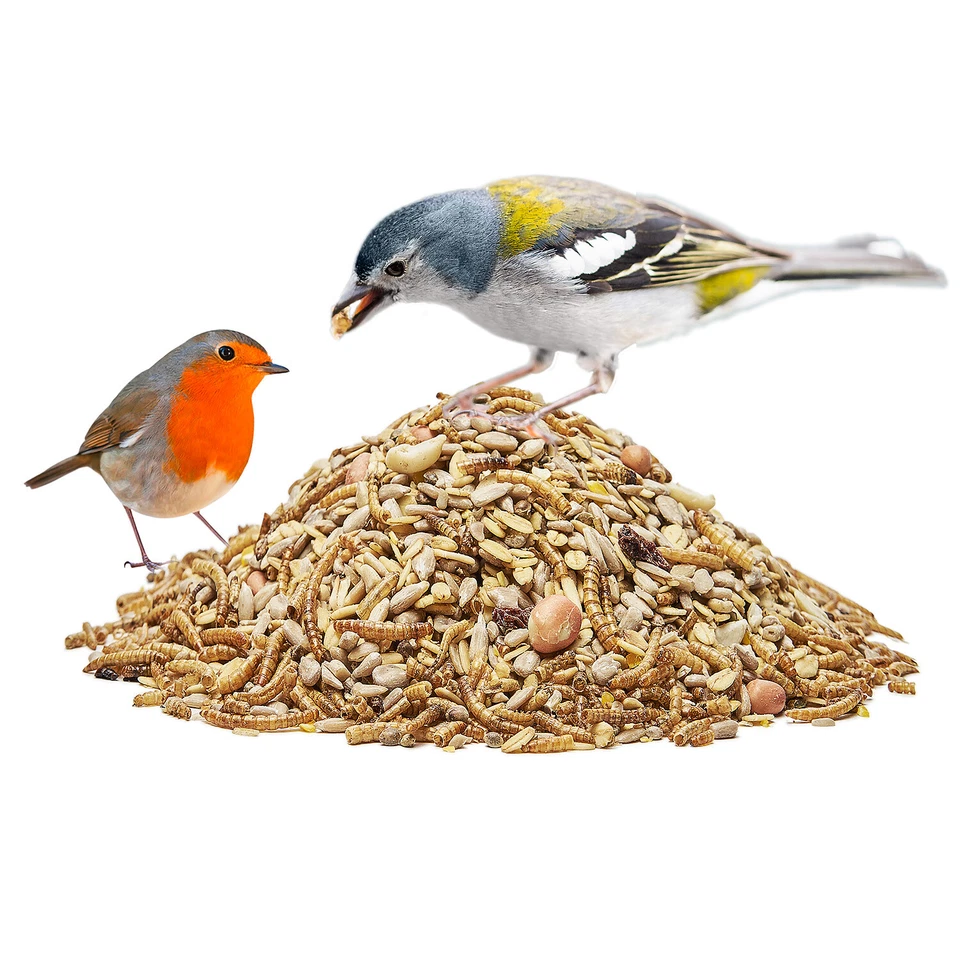 Vogelfutter Wildvogelfutter Deluxe Premiumqualität von Paul's Mühle - Bild 3 von 4