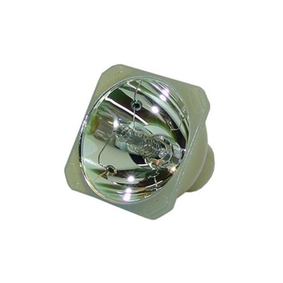 New Compatible With Projector Lamp Bulbs Fits For W20000 / W5000