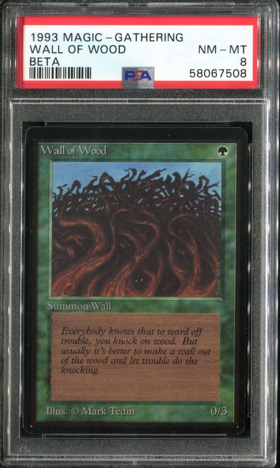 PSA 8 1993 MTG Magic The Gathering Beta #226 Wall of Wood Pop20