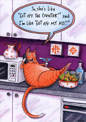 Cat on Counter Funny Birthday Card - Greeting Card by Oatmeal Studios