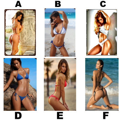 ADULT SEXY HOT BIKINI MODELS-BLONDE, BRUNETTE, RED HEADS, PHOTO STICKER DECALS