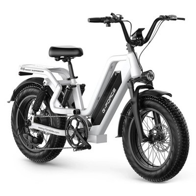 G-force RS ST Elektrofahrrad 20''  E-Mountainbike 48V 15AH/25AH Fat Tire E-Bike