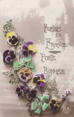 CP FLEURS DE FRANCE PORTE BONHEUR - PENSES RIBBON - 41406