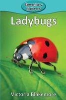 Ladybugs Victoria Blakemore Taschenbuch Kartoniert / Broschiert Englisch 2017