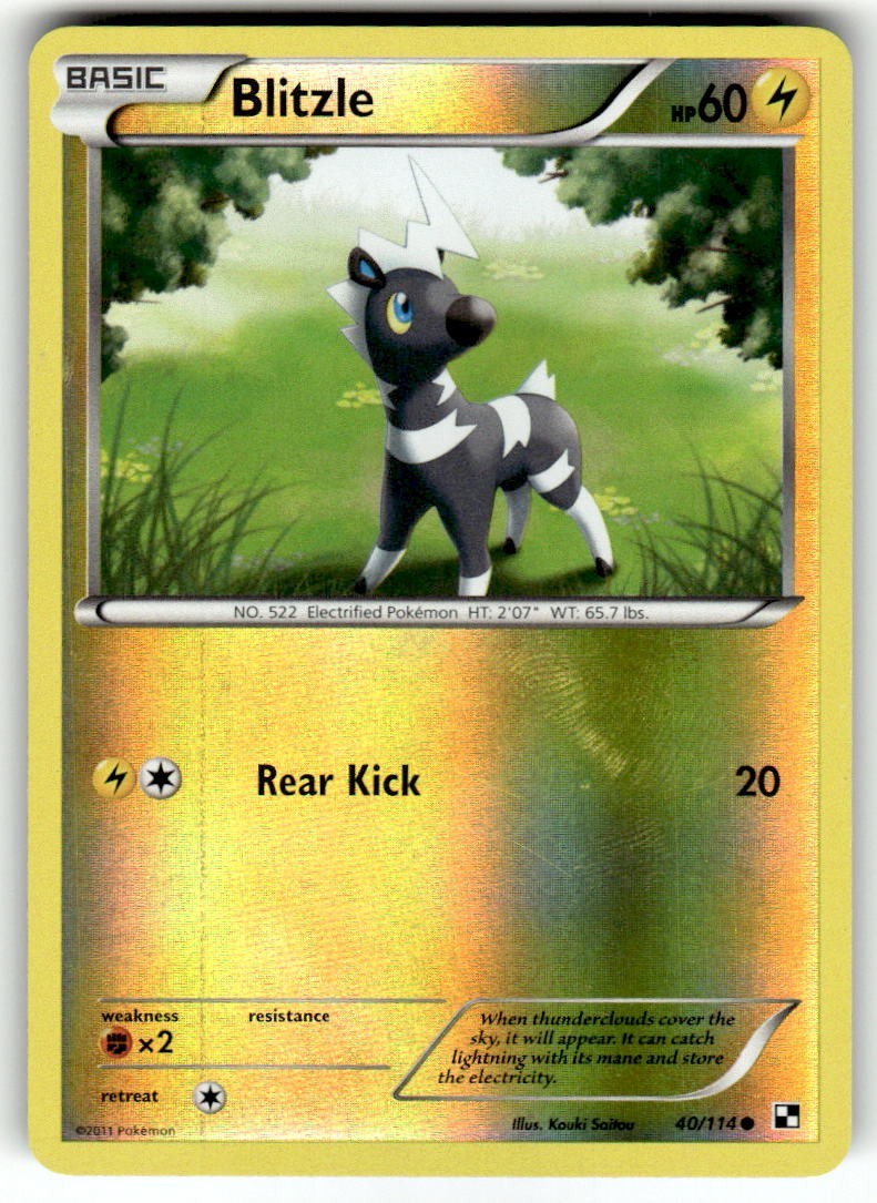 Pokémon TCG Blitzle Reverse Holo 40/114 Black And White Common NM