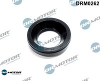 Dr.Motor Automotive DRM0262 Dichtung FüR DüSenhalter FüR Mazda