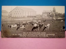 (2) Hershey's Chocolate PA cows garage livery minis 5 1/2" x 2 3/4"