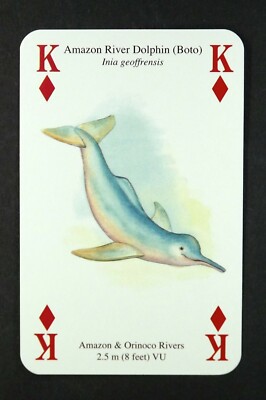 1 x Spielkarte eines Amazonas Flussdelfins (Boto)   King of Diamonds   T25