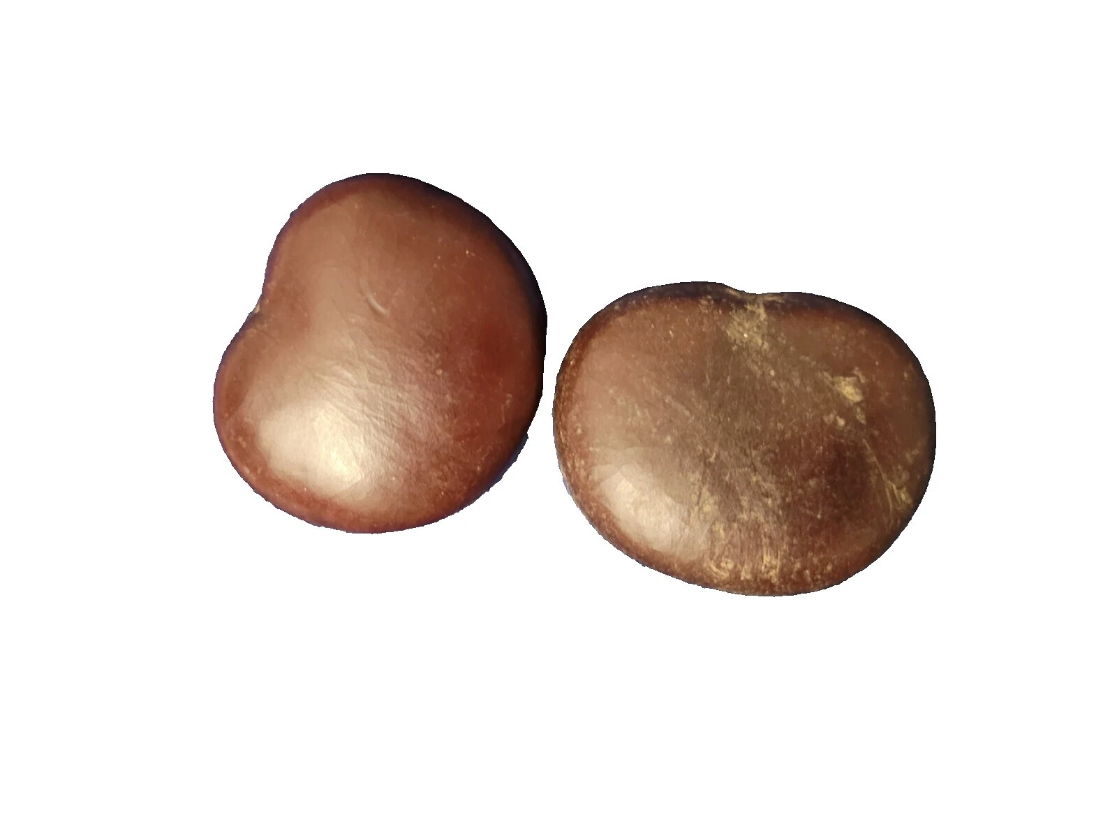 Seed Jewelry Making Charms