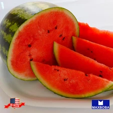Watermelon Fresh Seeds - Picnic - Crimson Sweet Non-GMO Heirloom Vegetable
