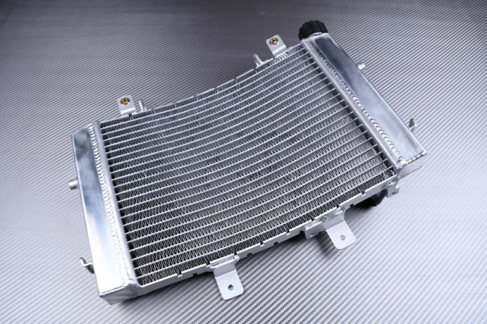 Radiateur de remplacement thermique optimal pour KTM Duke 690 LC4 A3 2012-2019