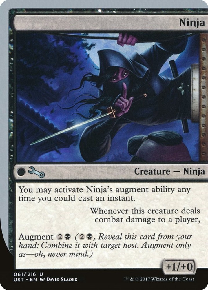Ninja Unstable 61