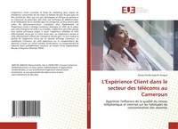 RaïSsa Estelle Kapche Sangue | L'expéRience Client Dans Le Secteur Des...