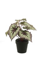 Artplants Kunstpflanze Blattbegonie Meira, GrüN-Violett, 25Cm