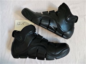 vintage lebron james shoes