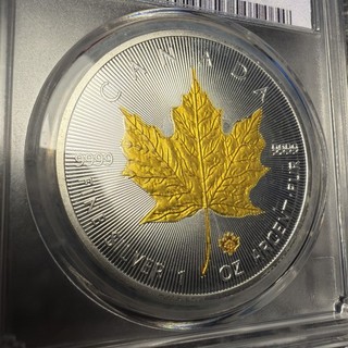 2021 maple leaf Canada $50 coin display model proof Plated READ Description
