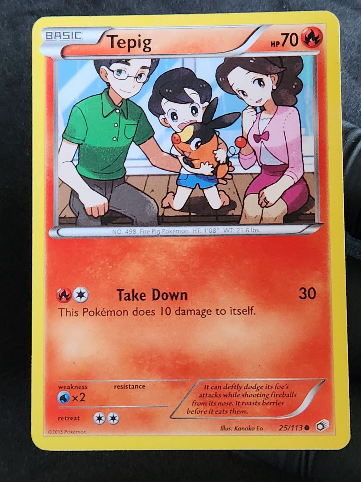 Legendary Treasures #25/113 Tepig Lp