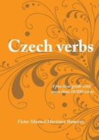 VíCtor Manuel MartíNez Ramirez | Czech Verbs | Taschenbuch | Englisch (2011)