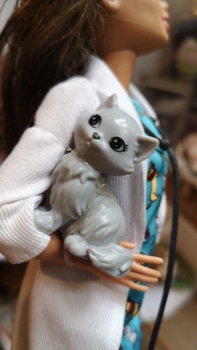 BARBIE CARRIERE VETERINARIA 2018 INDONESIA - Foto 3 di 6