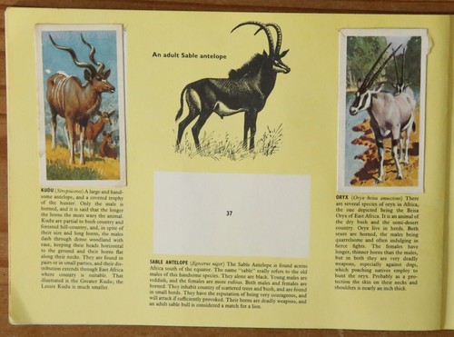 Tarjetas con fotos de Brooke Bond - vida silvestre africana - conjunto de piezas (35 tarjetas) en álbum - Imagen 12 de 18