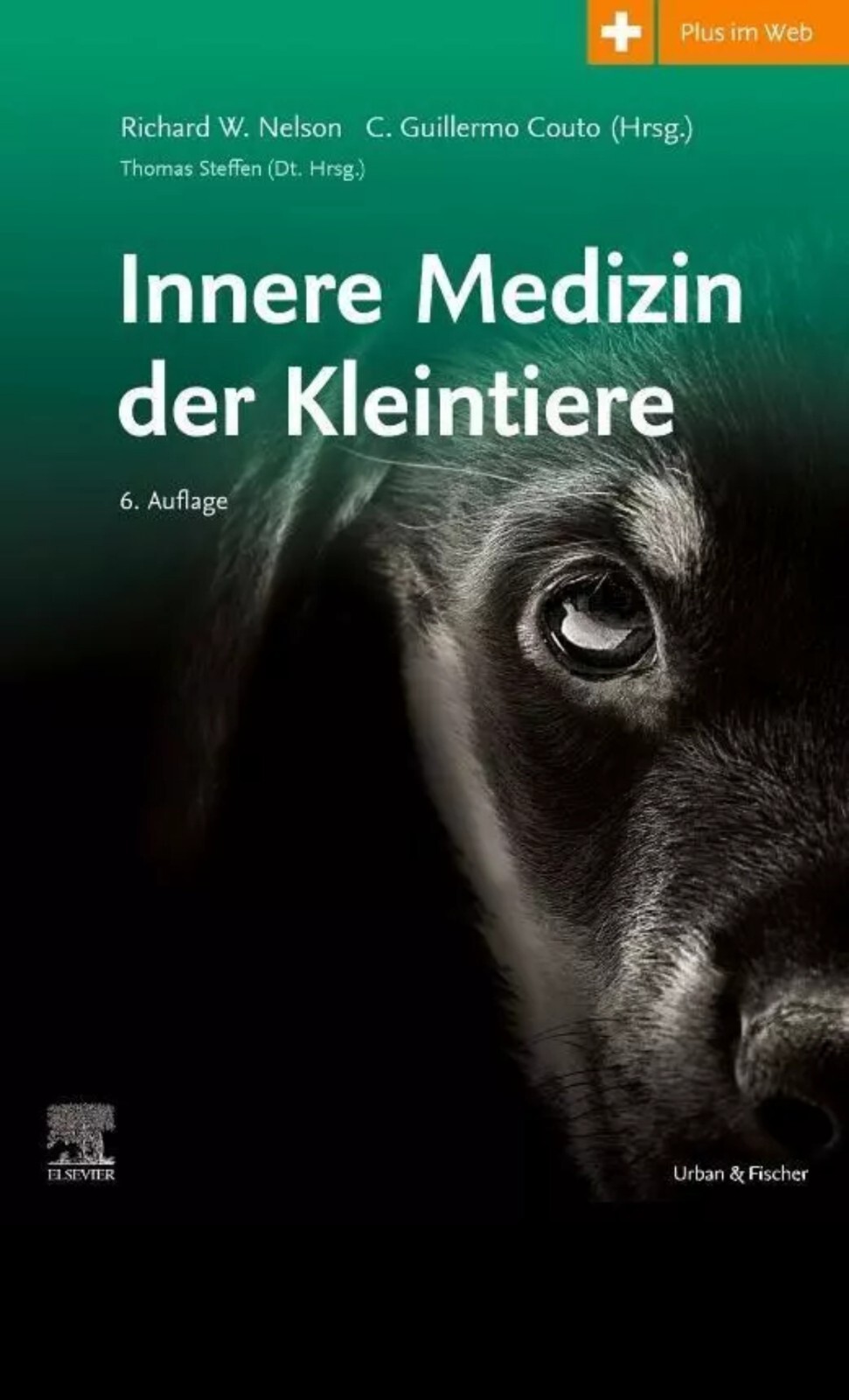 Innere Medizin Der Kleintiere | Thomas Steffen | Buch | Xxx | Deutsch