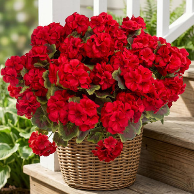 8 Pcs Artificial Geranium Plant Realistic Silk Flowers for outside UV Resistant
