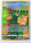 Carte Pokémon Métamorph GG22/GG70 Zénith Suprême Alternative ETB Display Coffret