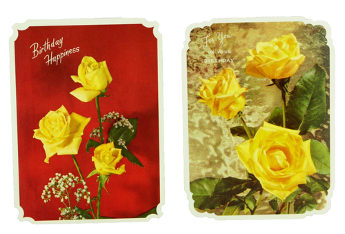 Vintage Radiant Rose Photochrome All Occasion Card Set + Envelopes & Orig. Box - Bild 7 von 12