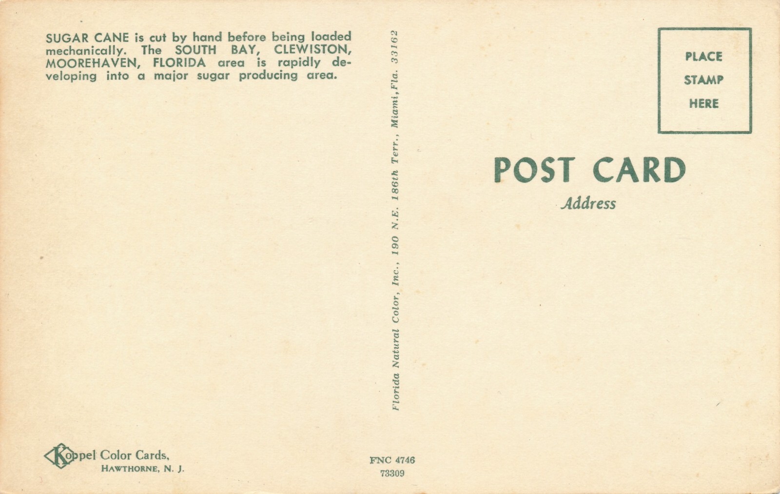 Cutting Sugar CaneSouth Bay, Florida area vintage unposted eBay